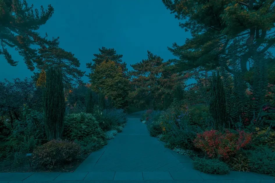 Divine in the Twilight