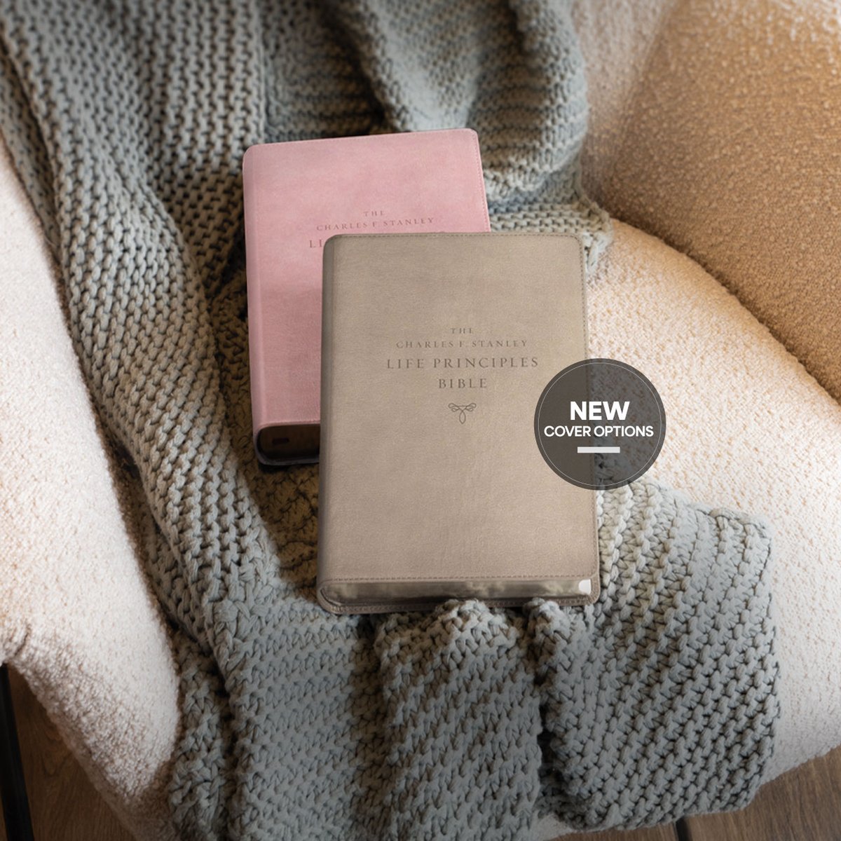 Charles Stanley Life Principles Bible