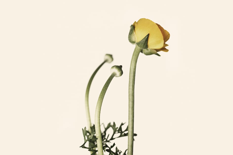 Up to Something Good